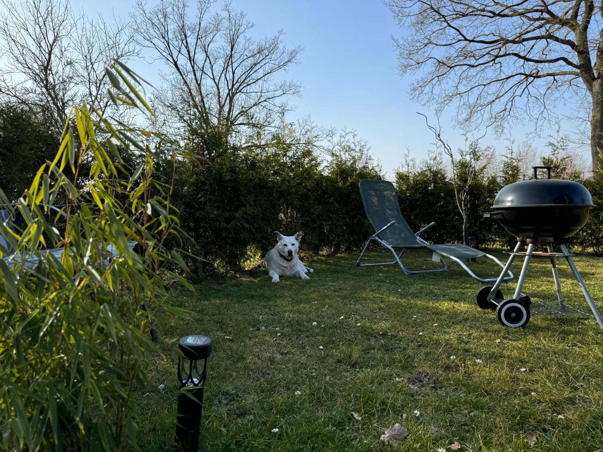 Ferienwohnung Am See Dillich - Ruhige Lage - Eigener Garten - Direkt Neben Einem Natursee Borken  Exteriör bild