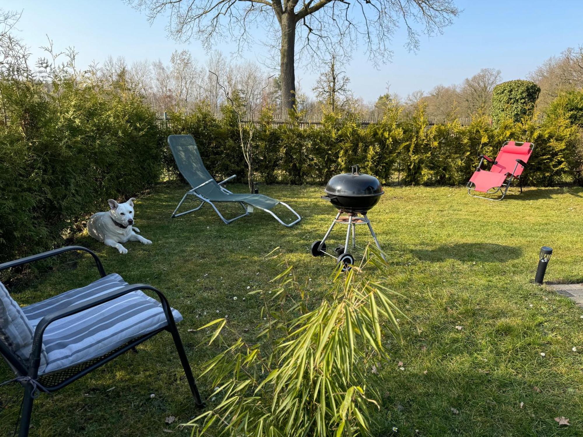 Ferienwohnung Am See Dillich - Ruhige Lage - Eigener Garten - Direkt Neben Einem Natursee Borken  Exteriör bild
