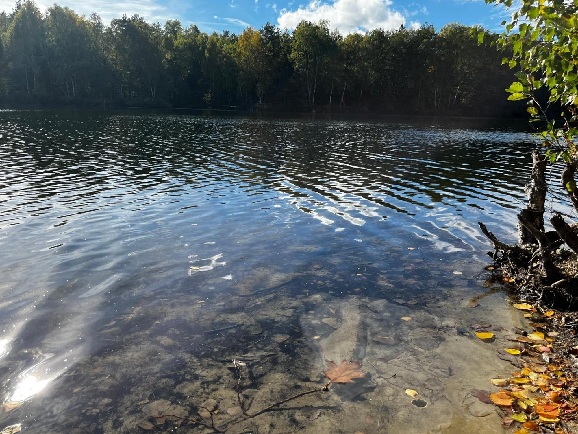 Ferienwohnung Am See Dillich - Ruhige Lage - Eigener Garten - Direkt Neben Einem Natursee Borken  Exteriör bild