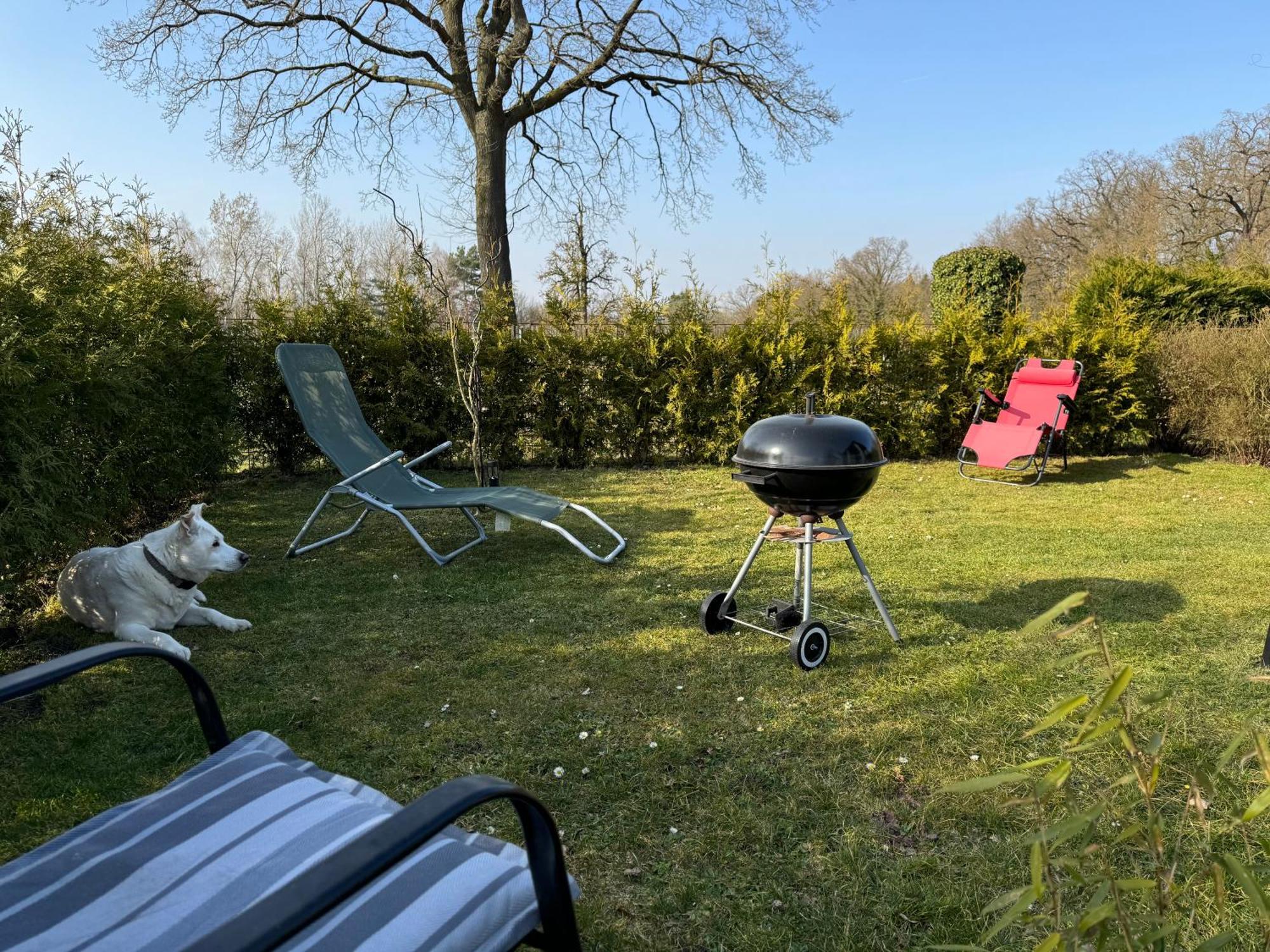 Ferienwohnung Am See Dillich - Ruhige Lage - Eigener Garten - Direkt Neben Einem Natursee Borken  Exteriör bild